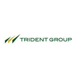 Trident Logo