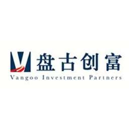 Vangoo Investment Partners Logo