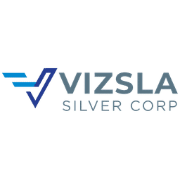 Vizsla Silver Logo