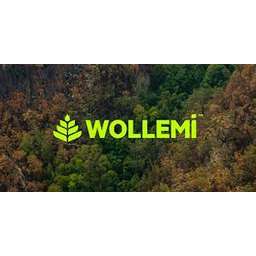 Wollemi Logo